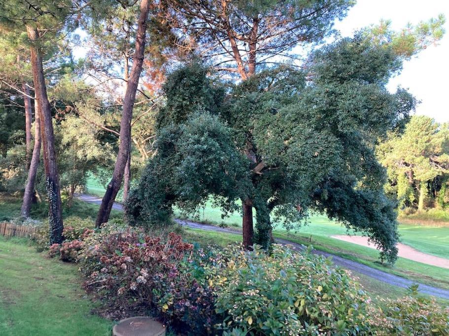 Vue Golf Dans Residence Nature "Sympalappart" 莫列马阿 外观 照片